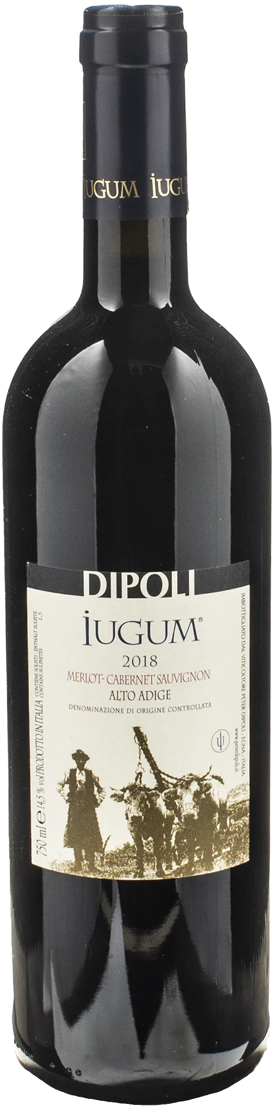 Dipoli Iugum 2018