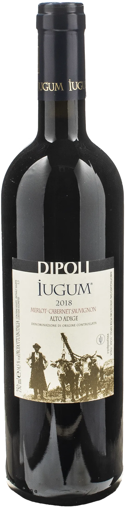 Dipoli Iugum 2018