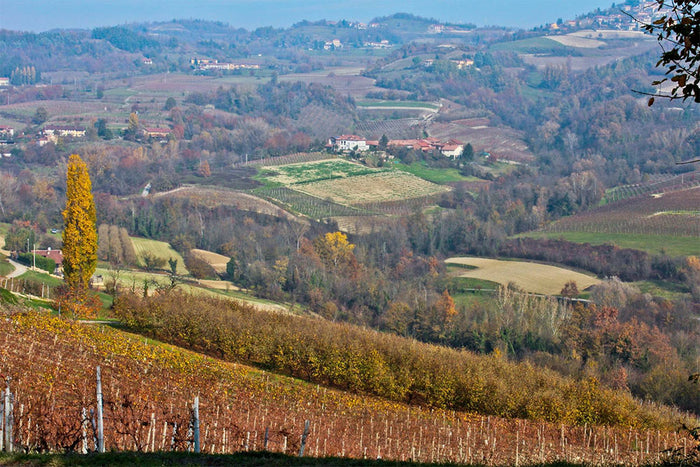 Distilleria Quaglia