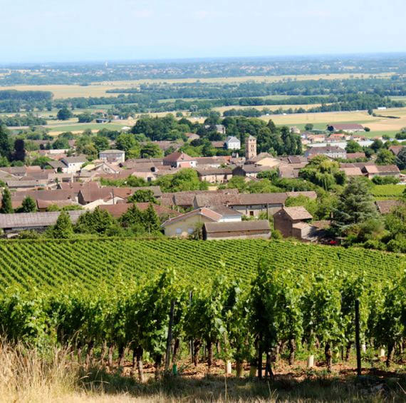 Domaine Alexandre Jouveaux e Maryse Chatelain