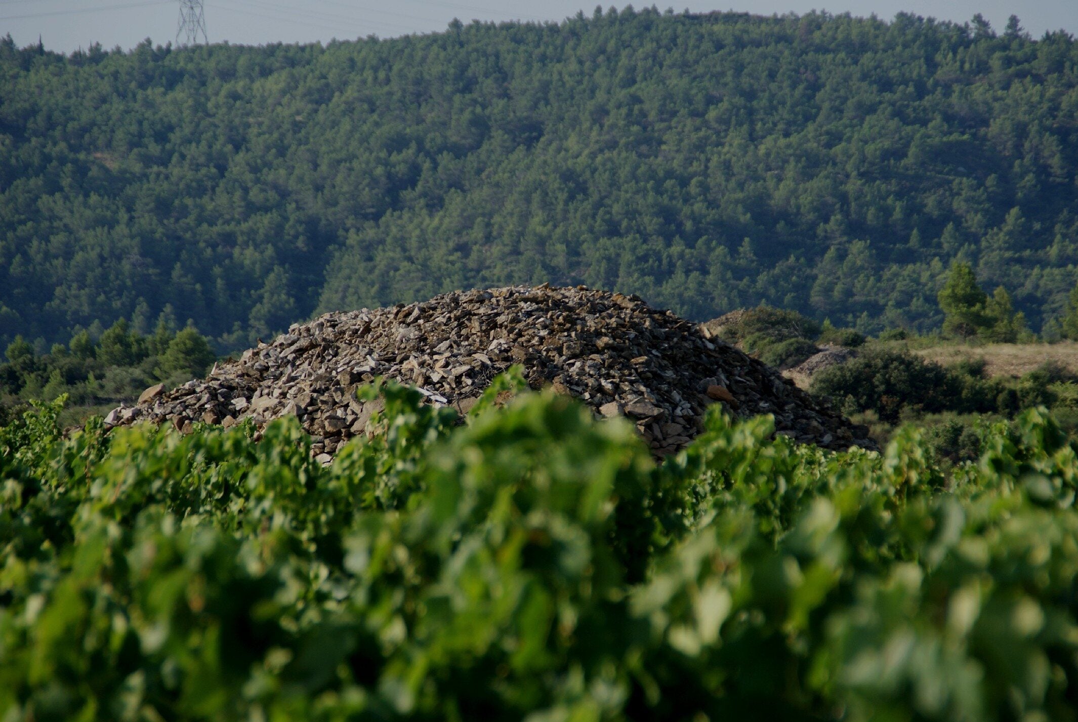 Domaine Anne Gros