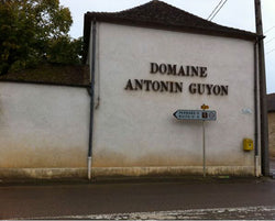 Domaine Antonin Guyon