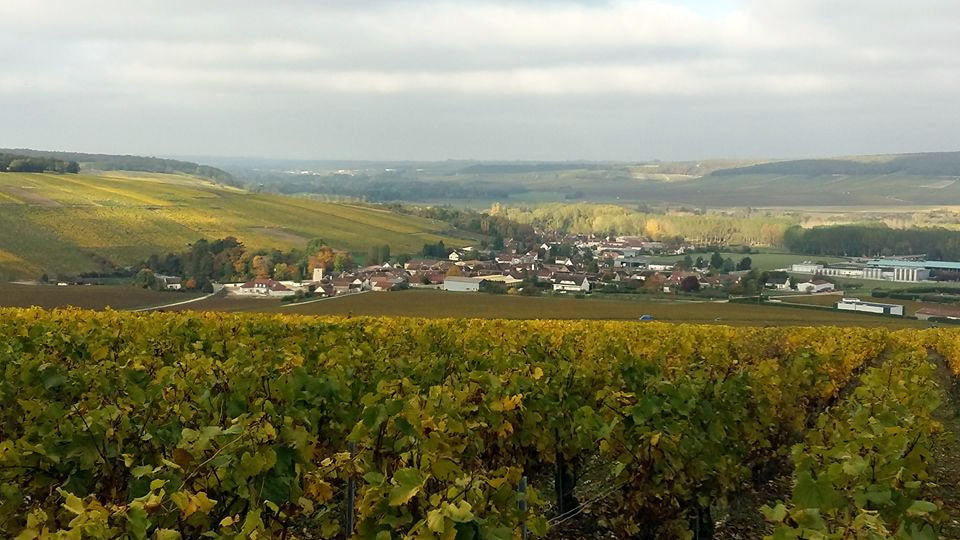 Domaine Barat