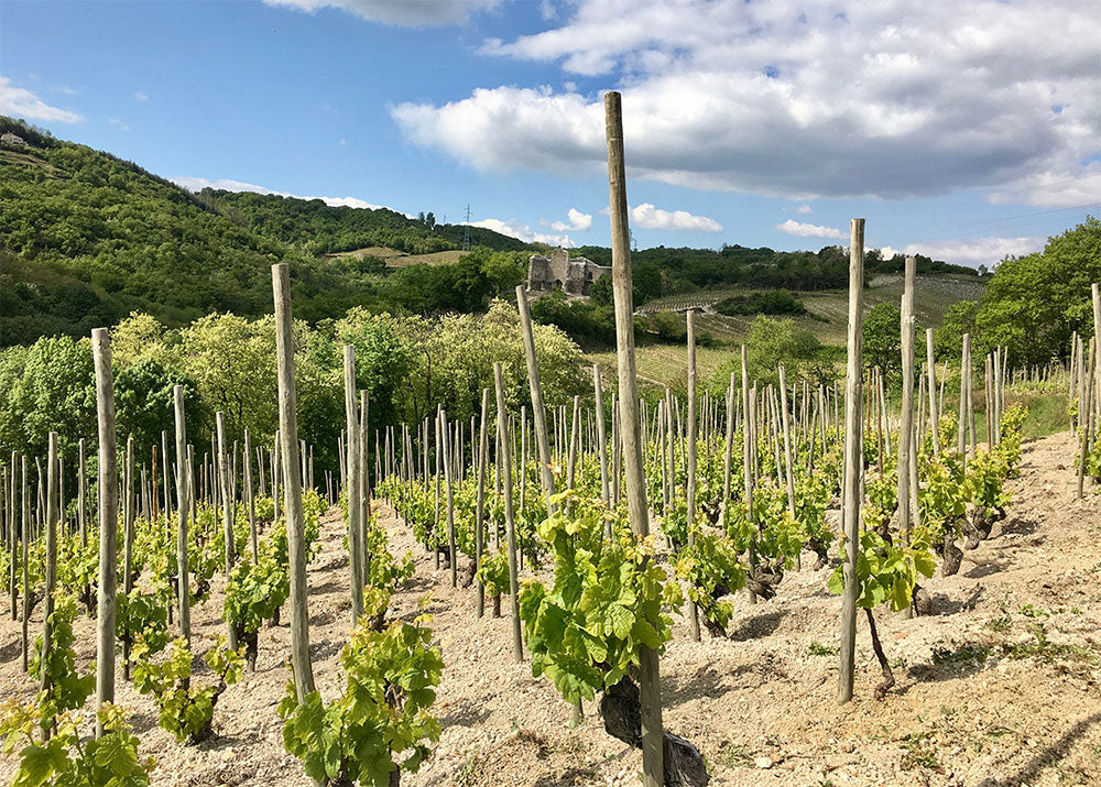 Domaine Belle