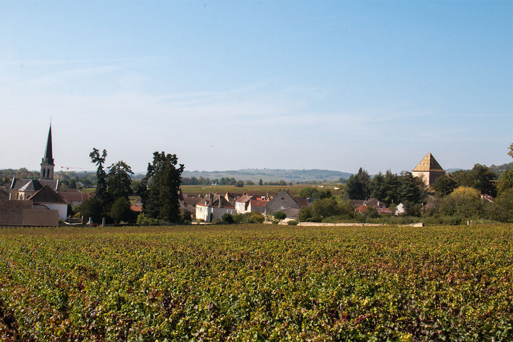 Domaine Belleville