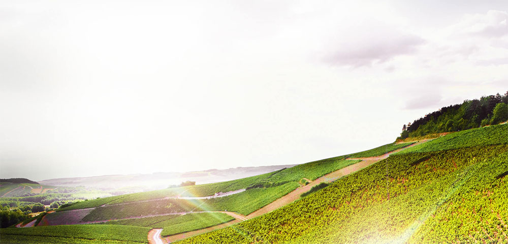 Domaine Billaud-Simon