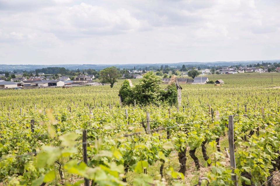 Domaine Breton