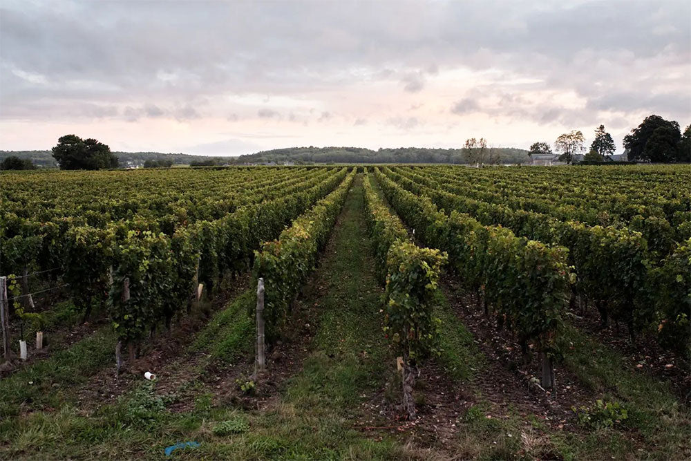 Domaine Breton