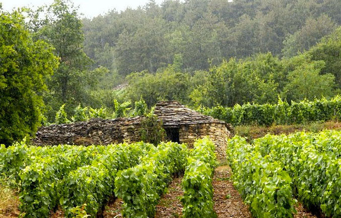 Domaine Bruno Colin
