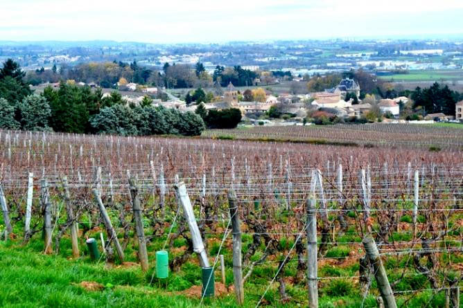Domaine Castagnier