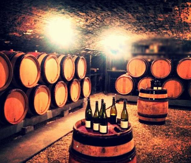 Domaine Christophe Vaudoisey