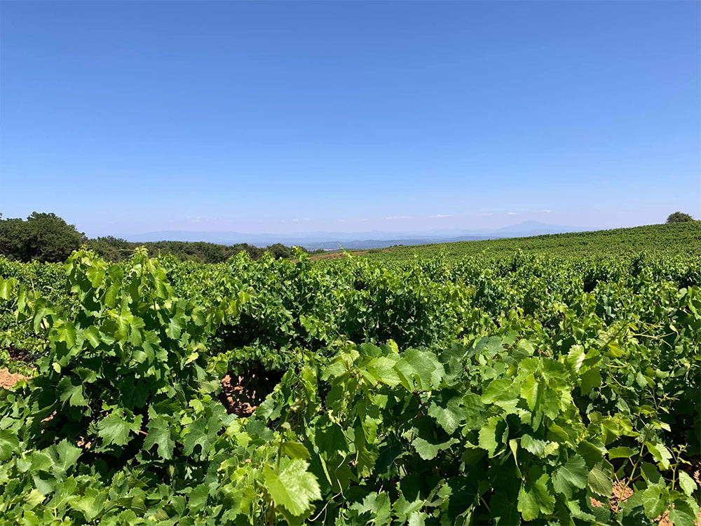 Domaine Clavel
