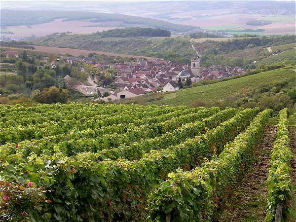 Domaine Colette Gros