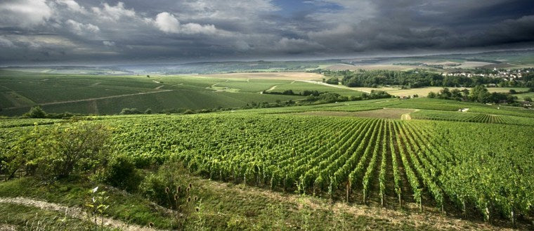 Domaine Colette Gros