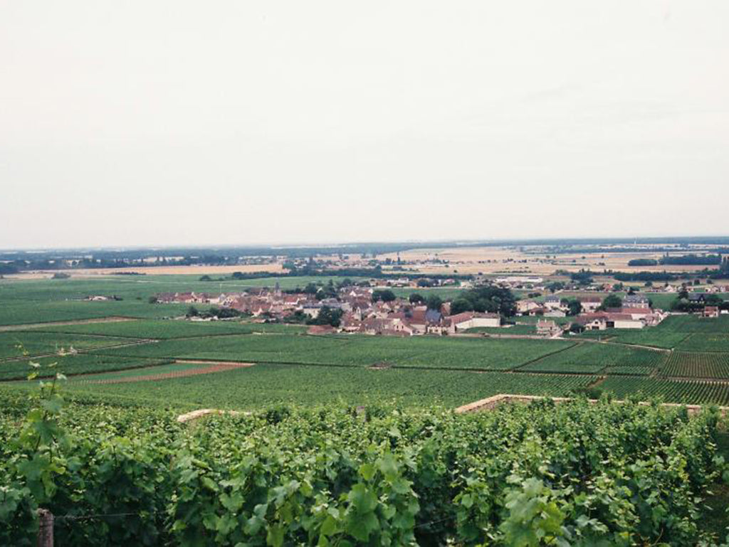 Domaine Confuron-Cotetidot