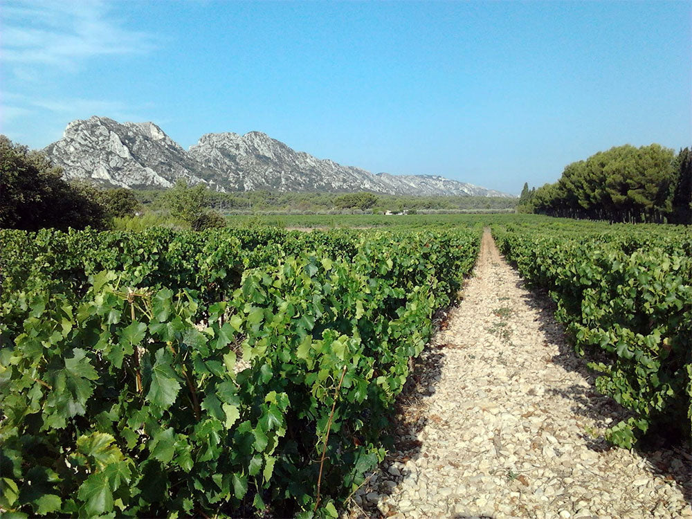 Domaine d'Eole