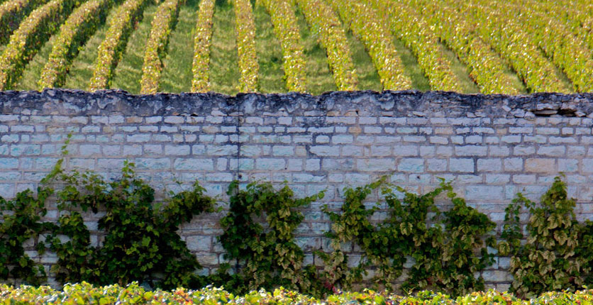 Domaine d'Eugenie