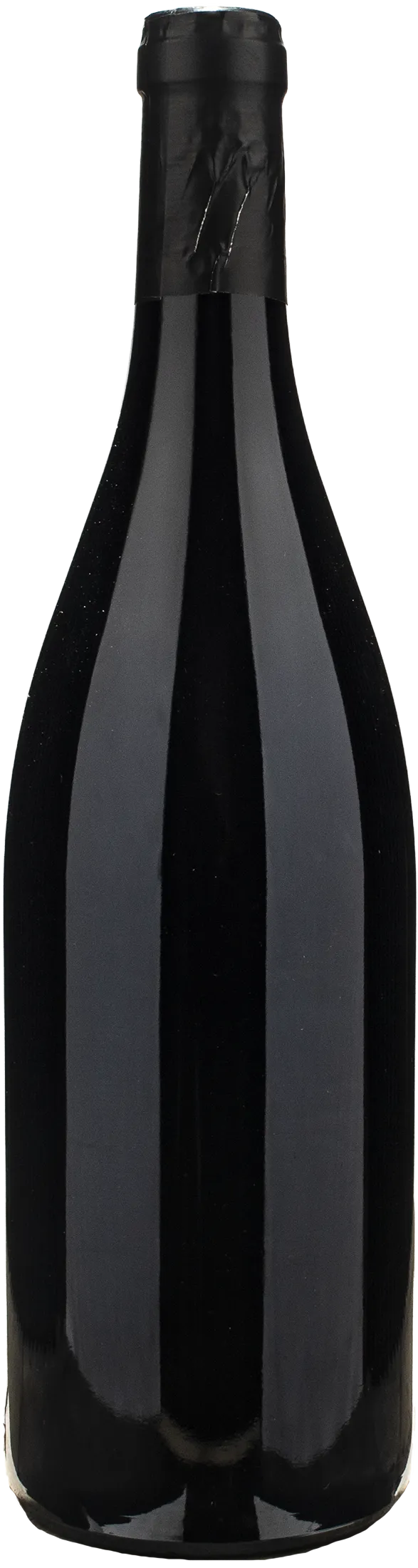 Domaine Dard et Ribo Saint Joseph Rouge 2024