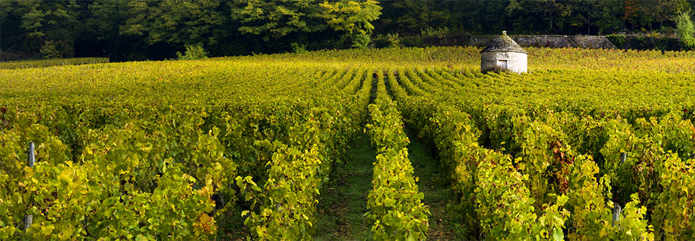 Domaine de Bellene