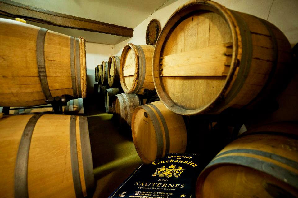Domaine de Carbonnieu