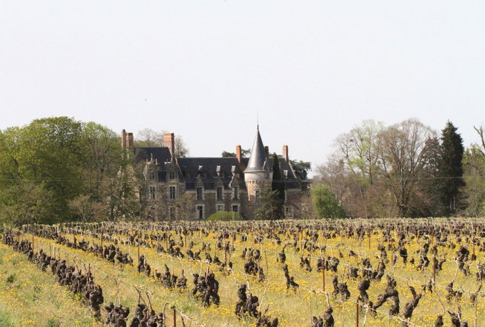 Domaine de l'Ecu