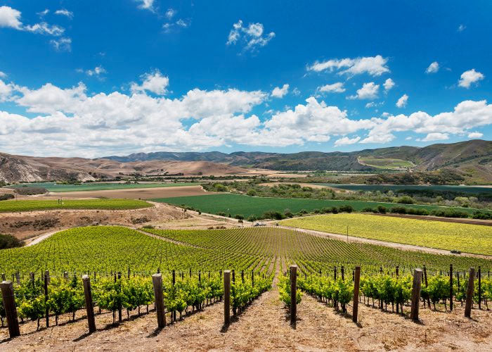 Domaine de la Cote