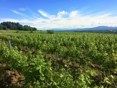 Domaine de la Graveirette