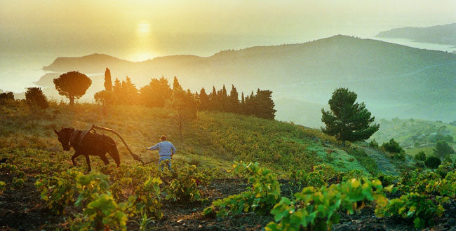 Domaine de la Rectorie
