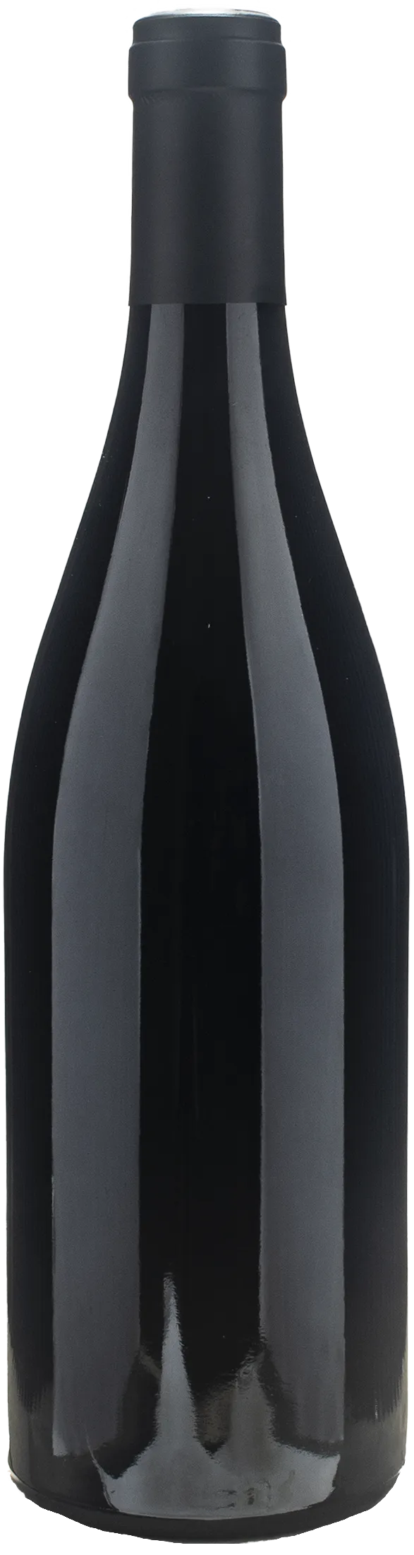 Domaine de la Sarbeche Saint Joseph 2023