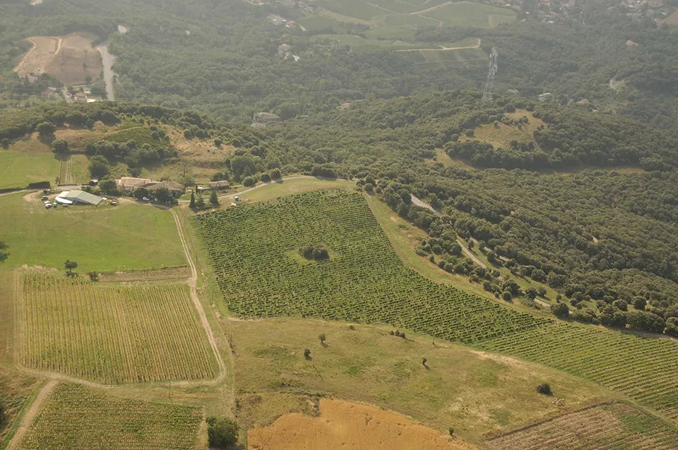 Domaine de la Sarbeche