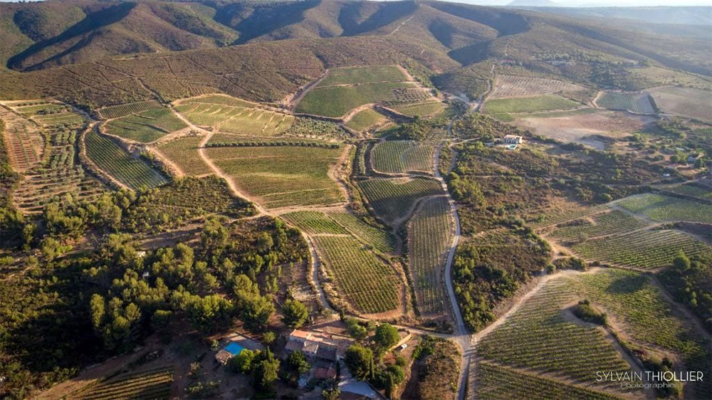 Domaine de la Suffrene