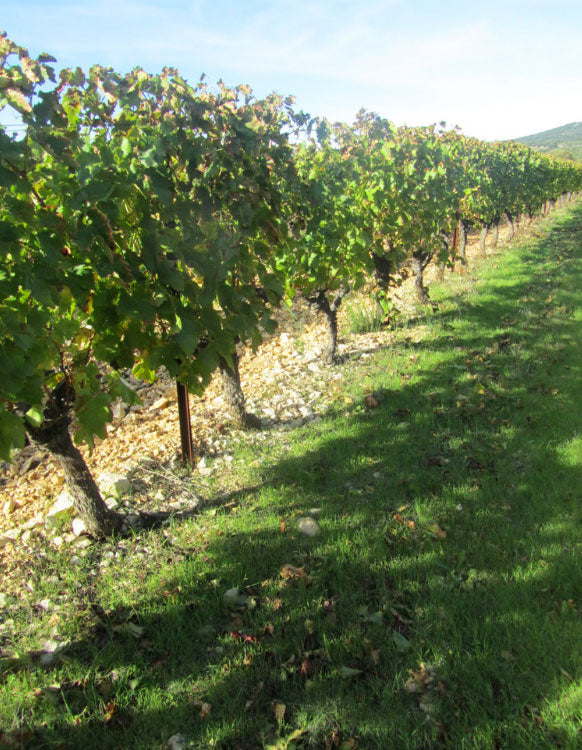 Domaine de Montcalmes
