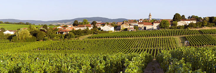Domaine de Roally
