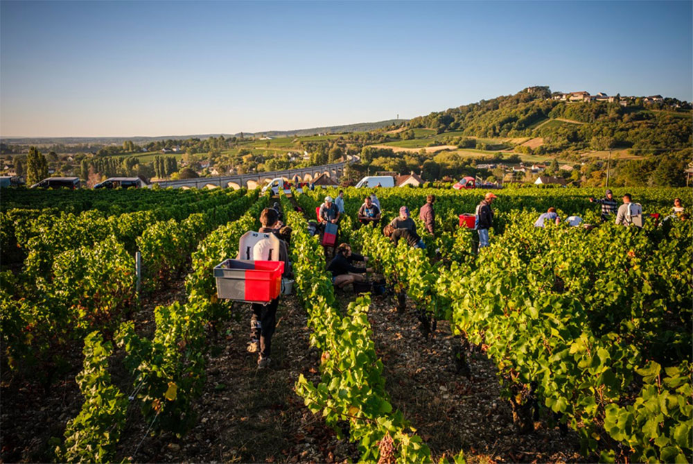 Domaine de Saint Pierre