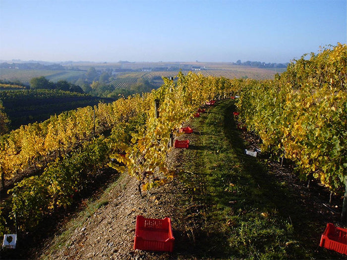 Domaine des Baumard