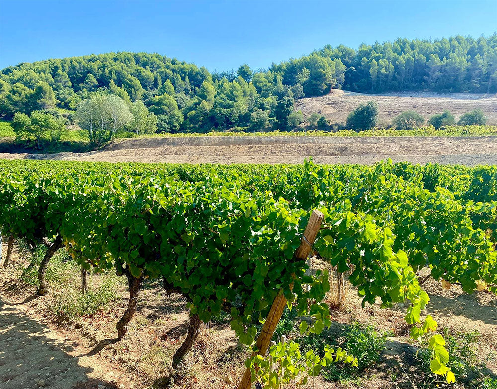 Domaine des Bosquets