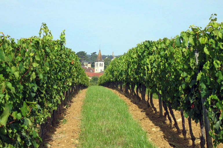 Domaine des Chambris