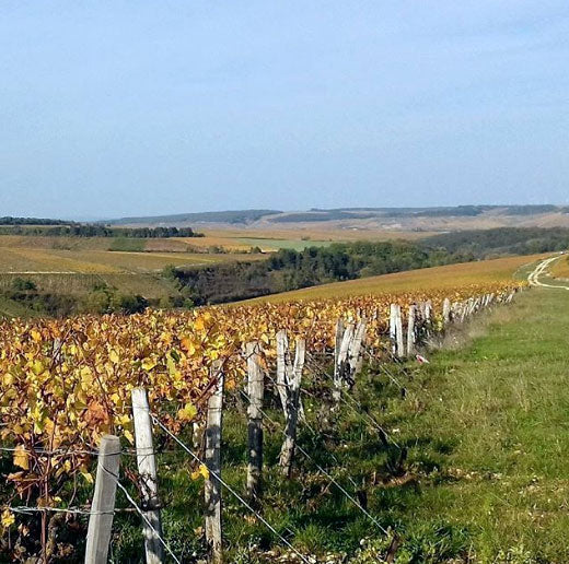 Domaine des Malandes