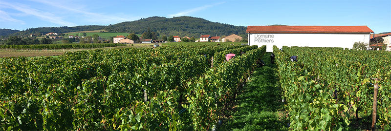 Domaine des Pothiers