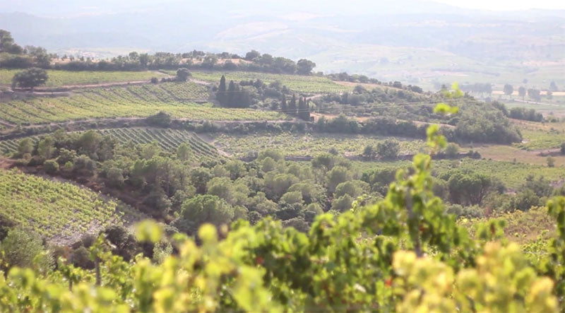 Domaine des Schistes