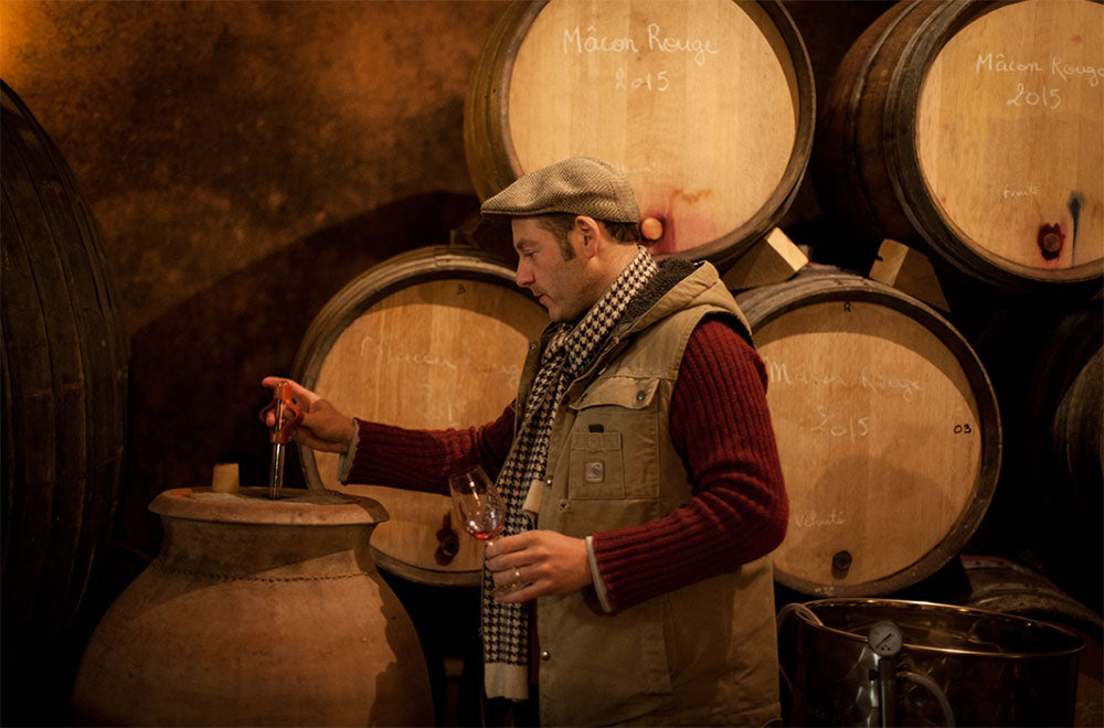 Domaine des Vignes du Maynes