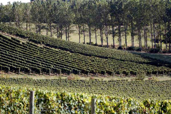 Domaine du Boiron