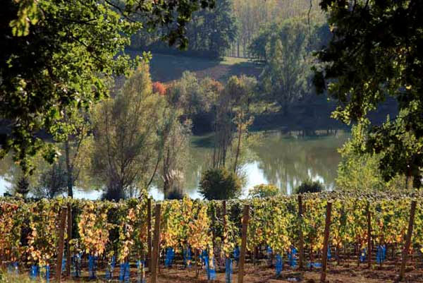 Domaine du Boiron