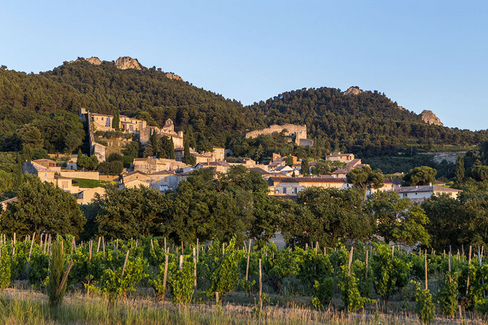 Domaine du Cayron