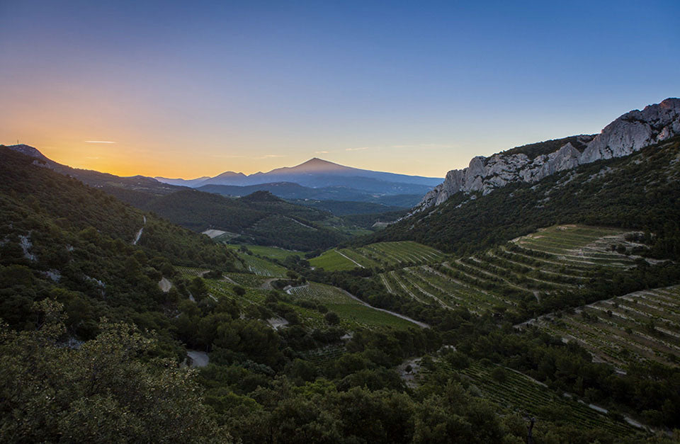 Domaine du Cayron