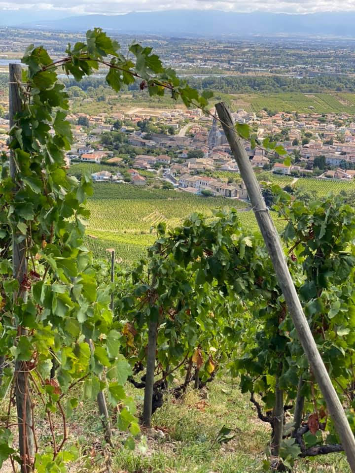 Domaine Du Tunnel