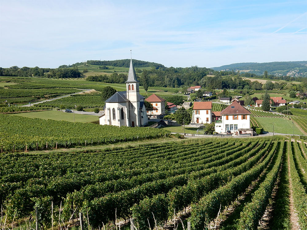 Domaine Dupasquier