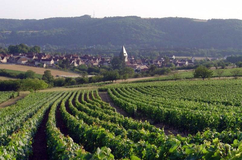 Domaine Eugenie Carrion