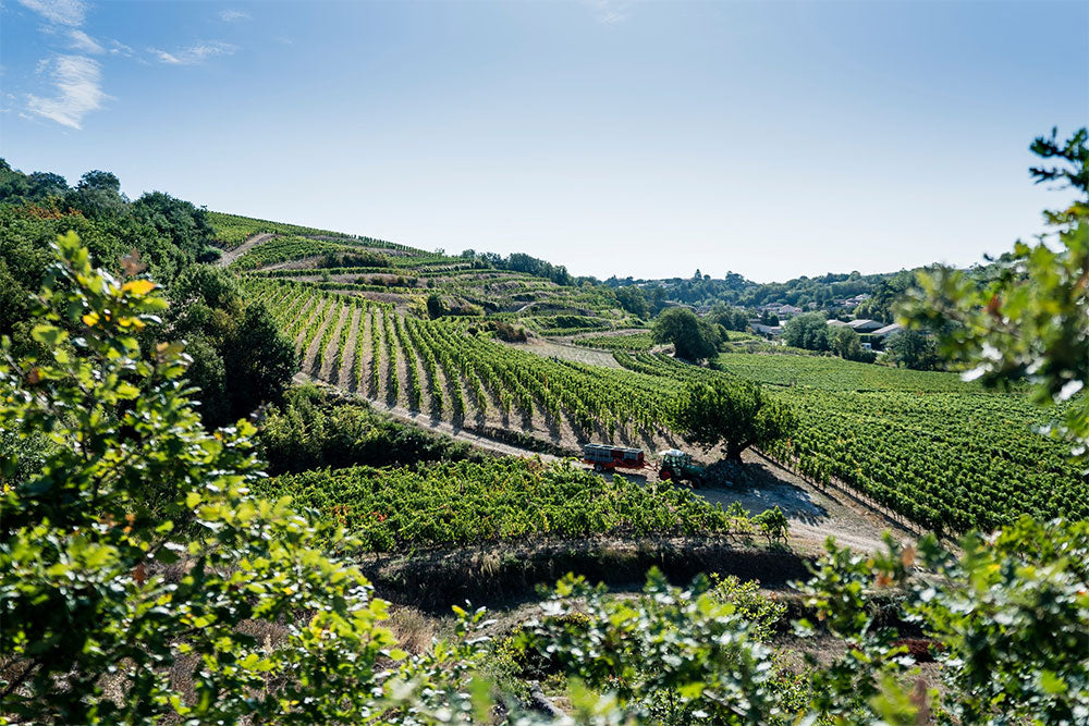 Domaine Fayolle