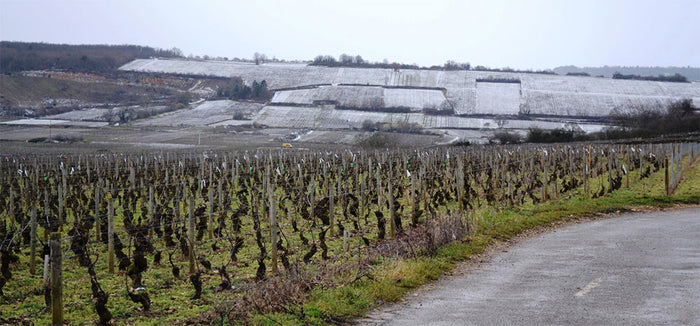 Domaine Fernand et Laurent Pillot